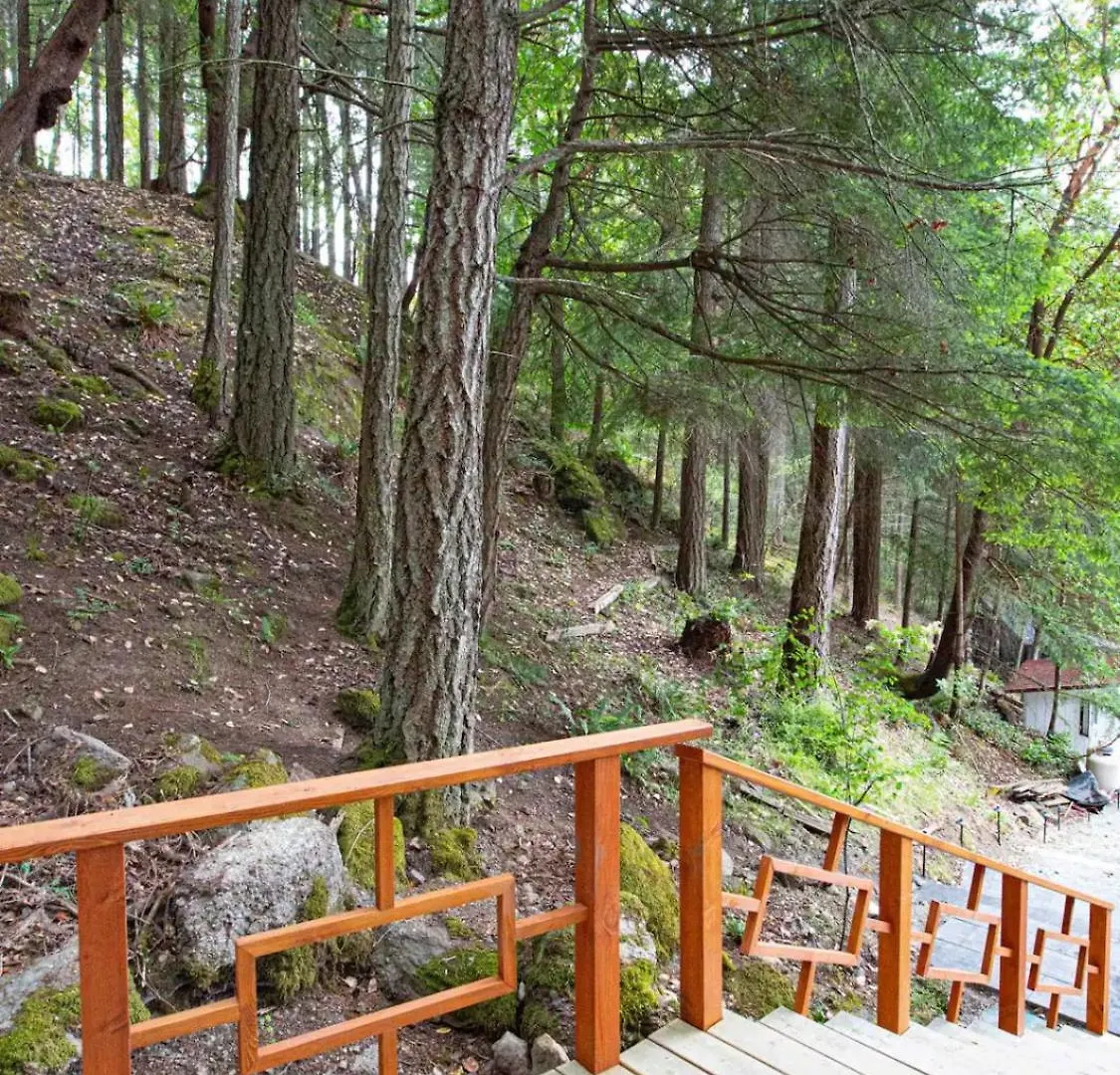 Bed & Breakfast Sungate On Salt Spring - Luxurious Suite With Cedar Hot Tub & View Ganges